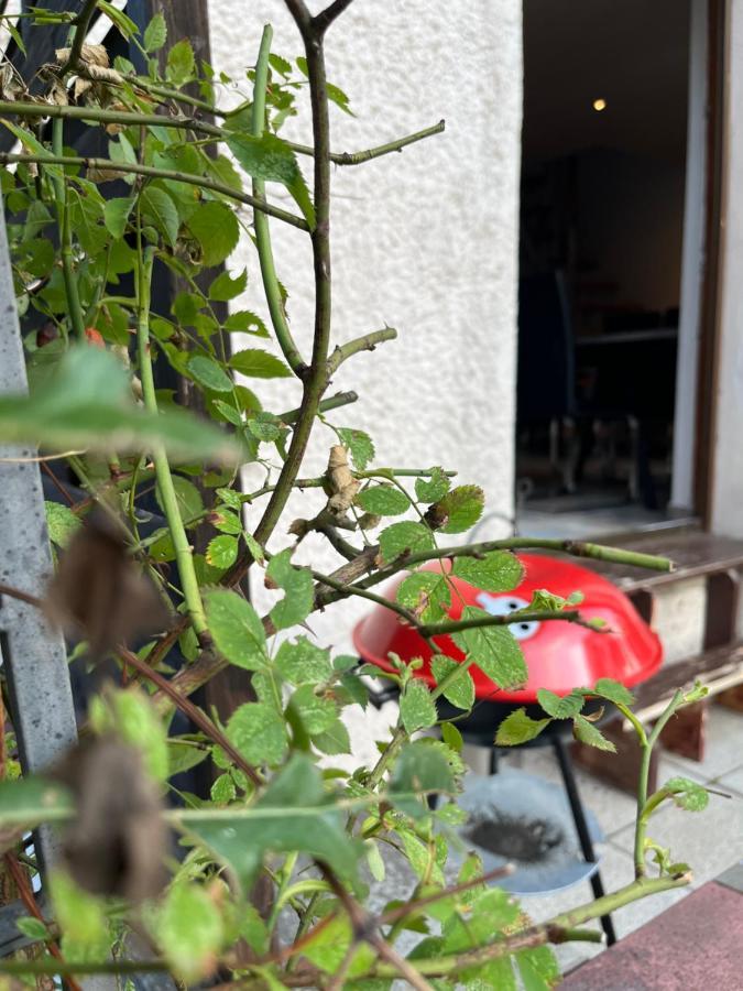 Alpina Haus Διαμέρισμα Ομπεραμεργκάου Εξωτερικό φωτογραφία
